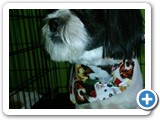img_20151205_122227152