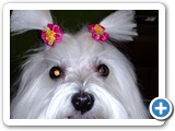 img_20160707_114835324