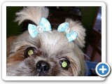 img_20160727_111806039
