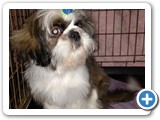 IMG_20170206_143800576