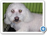 IMG_20170322_115916743