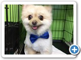 IMG_20180613_104502027