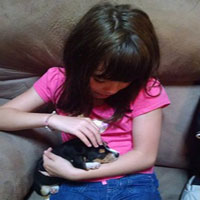 pet groomers